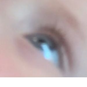 Meet your Posher, Bella